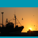 漁業のイメージ画像