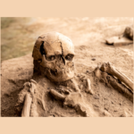 考古学のイメージ画像