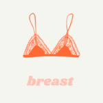 バストのイメージ画像