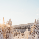 雪の中のイメージ画像