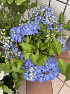 5月26日のクリスタルヴェール2