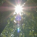 炎天下のイメージ