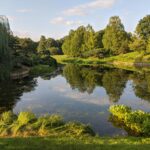 川辺のイメージ