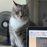 猫とパソコンの画像