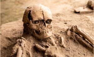 考古学のイメージ画像