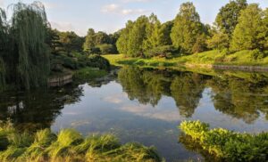 川辺のイメージ