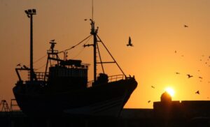 漁業のイメージ画像