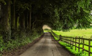 グランチェスターのイメージ