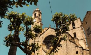 大学の堅牢な建物のイメージ画像