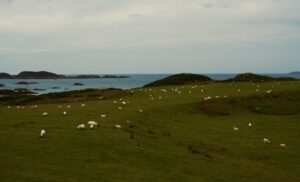 フェア島のイメージ