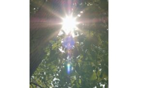 炎天下のイメージ