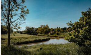 イギリスの自然のイメージ