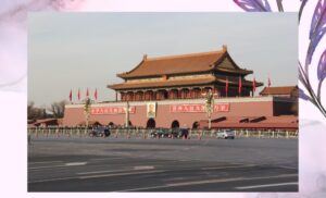 革命指導者のイメージ画像