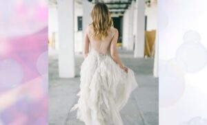 ヴァージニアのイメージ