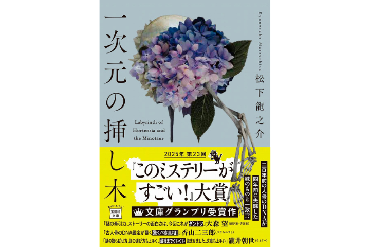 一次元の挿し木の書影